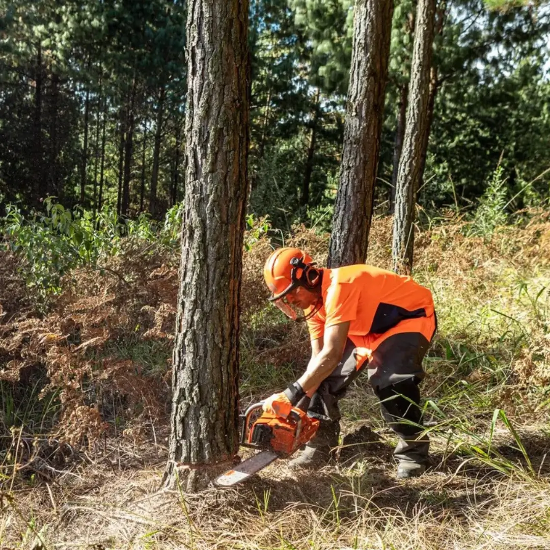 chainsaw6