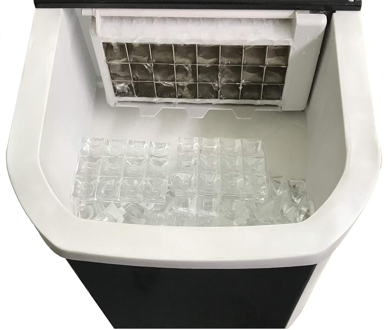 ice-b.jpg